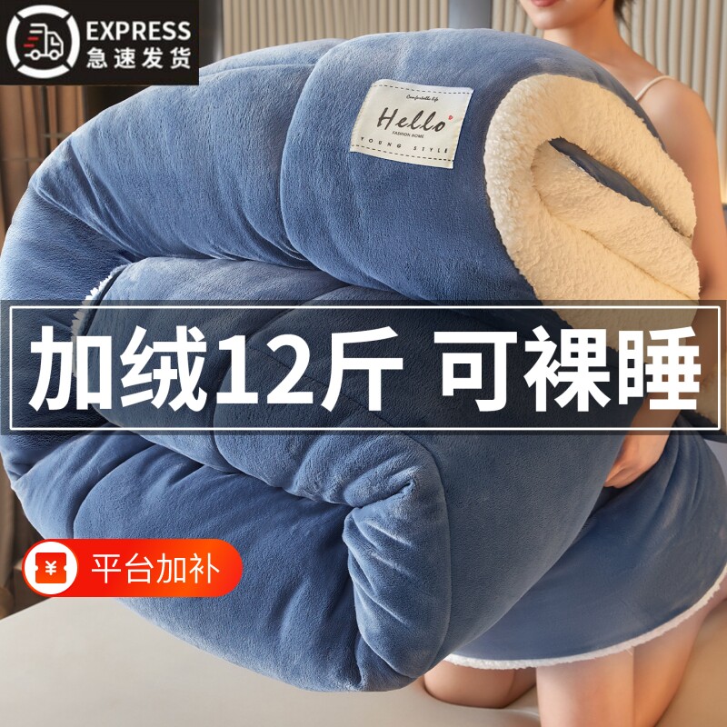羊羔绒被子冬被棉被被芯加厚保暖冬天宿舍单人学生冬季被褥2026款