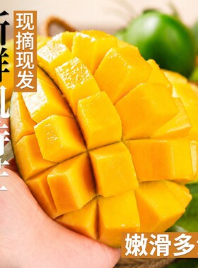 正宗四川攀枝花凯特芒果9斤当季水果甜心青皮澳芒新鲜整箱大果