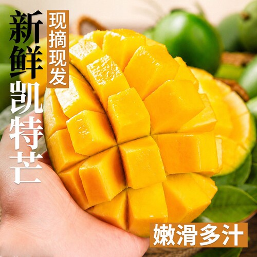 正宗四川攀枝花凯特芒果9斤当季水果青皮澳芒新鲜整箱大果现摘