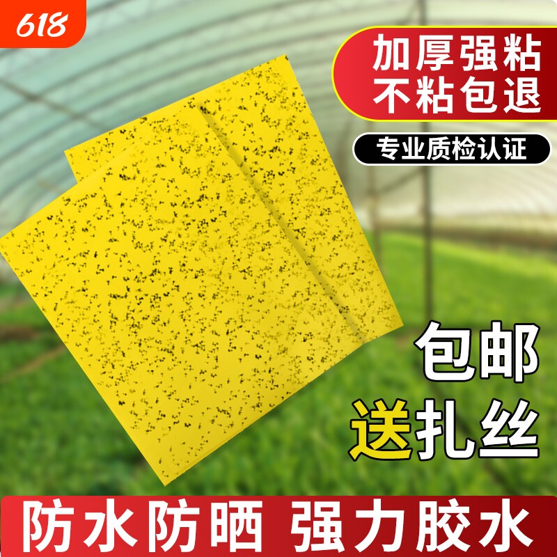 黄板粘虫板双面粘小飞虫果蝇诱捕器灭苍蝇贴粘蝇纸强力室内灭虫