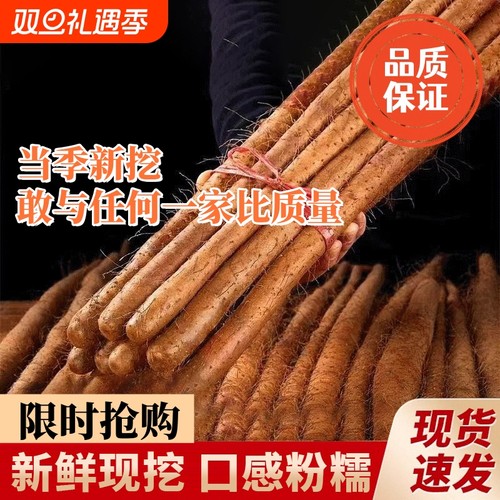 新鲜粉糯河北铁棍山药现挖现发