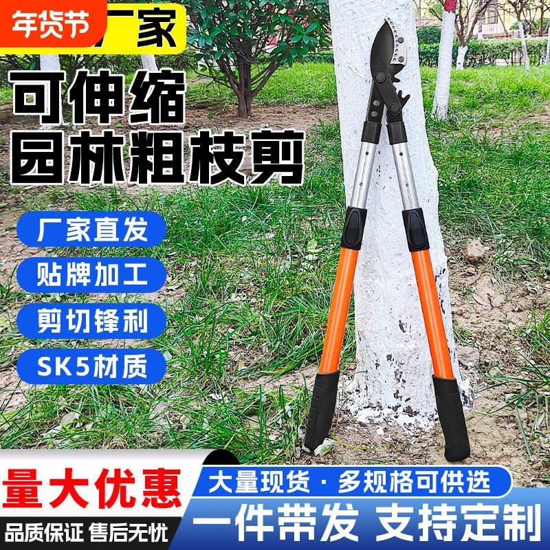 粗枝剪大力伸缩绿化园林修枝剪刀果树修枝剪加长SK5园林剪果枝剪,五金/工具,其它工具,淘宝优惠券,粉丝福利购,淘宝优惠卷
