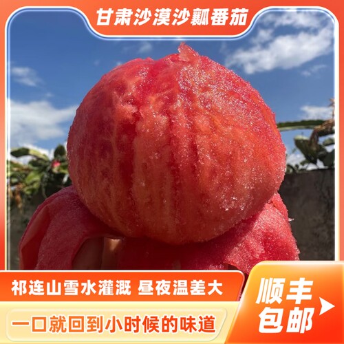 甘肃沙漠沙瓤西红柿现摘现发甘肃原产地直发新鲜番茄5斤当季新鲜
