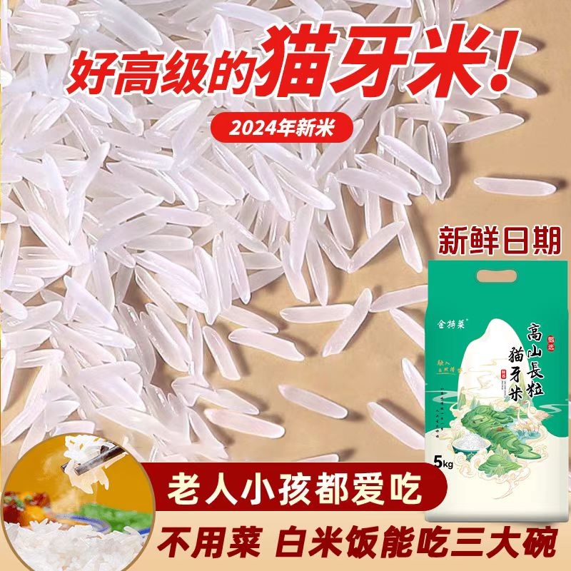 【甄享猫牙】金特莱高山长粒猫牙米高品质臻享长粒香大米