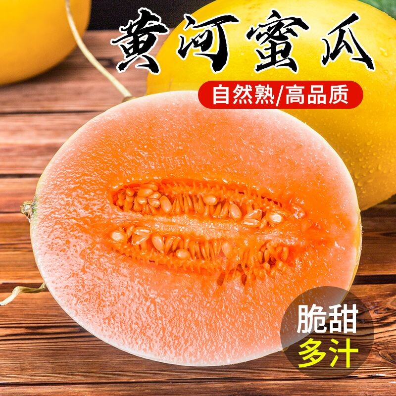 正宗黄河蜜瓜甜瓜水果新鲜当季整箱沙漠黄金哈密瓜脆现摘现发9斤