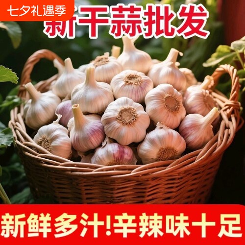 新干蒜正宗紫白皮农家大蒜头山东金乡大蒜整箱5/9斤新鲜