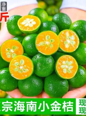 海南青金桔小青柠柠檬水果皮薄桔金橘奶茶专用应季水果泡水茶饮