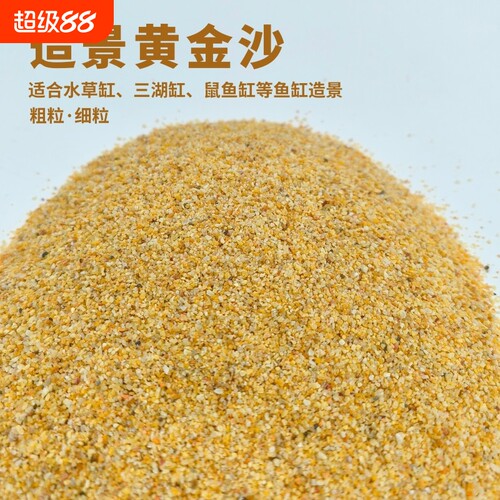 黄金沙南美缸三湖缸鼠鱼缸