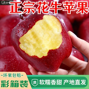 甘肃天水花牛苹果彩箱礼盒新鲜水果当季正宗平果粉面丑果孕妇时令