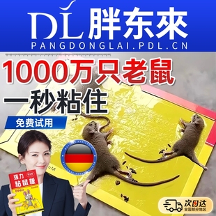 超强力粘鼠板捉粘大老鼠贴抓捕鼠神器超强正品 家用一窝端仓库厨房