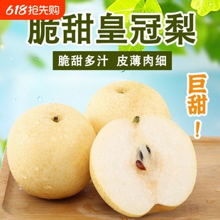 新鲜水果一级白皇冠梨4.5斤