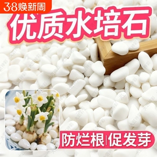 水培白色石子铺面石鹅卵石鱼缸造景石头花盆栽装饰庭院原石天然石