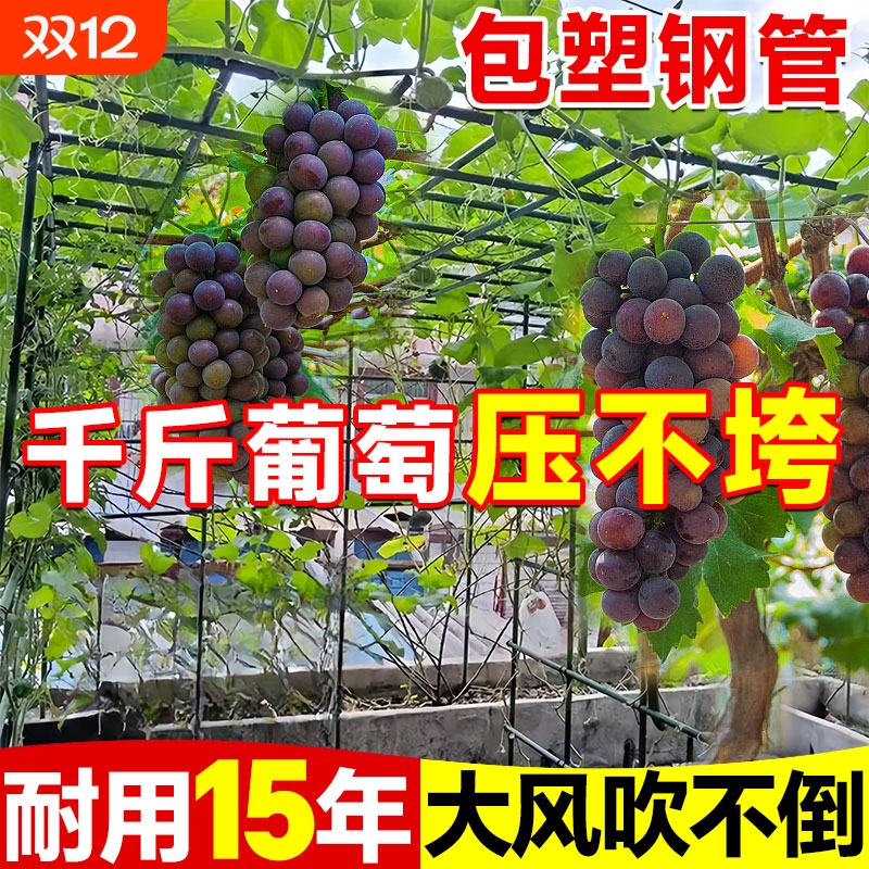葡萄架子户外室外园艺包塑钢管