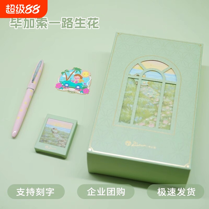 毕加索小清新高颜值套装钢笔