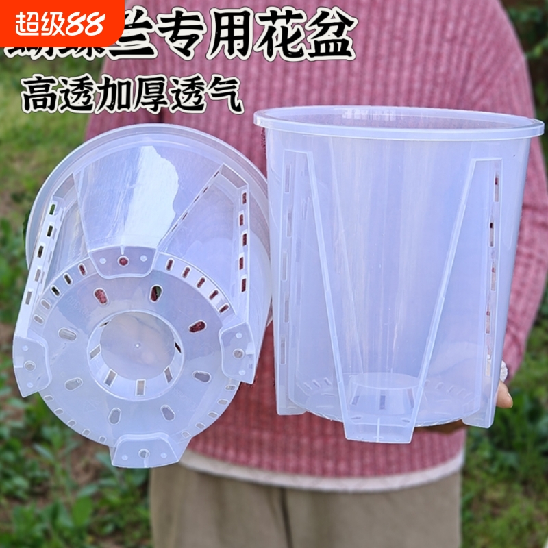 透明青山镂空简约环保透气蝴蝶兰
