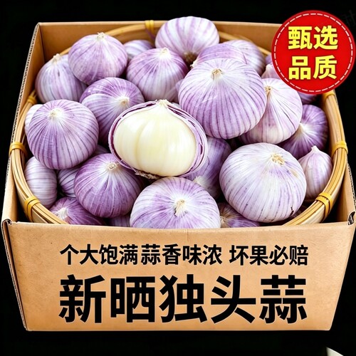 独头蒜紫皮2026新晒干大头蒜干蒜泡蒜腊八蒜头独蒜糖蒜当季毛重