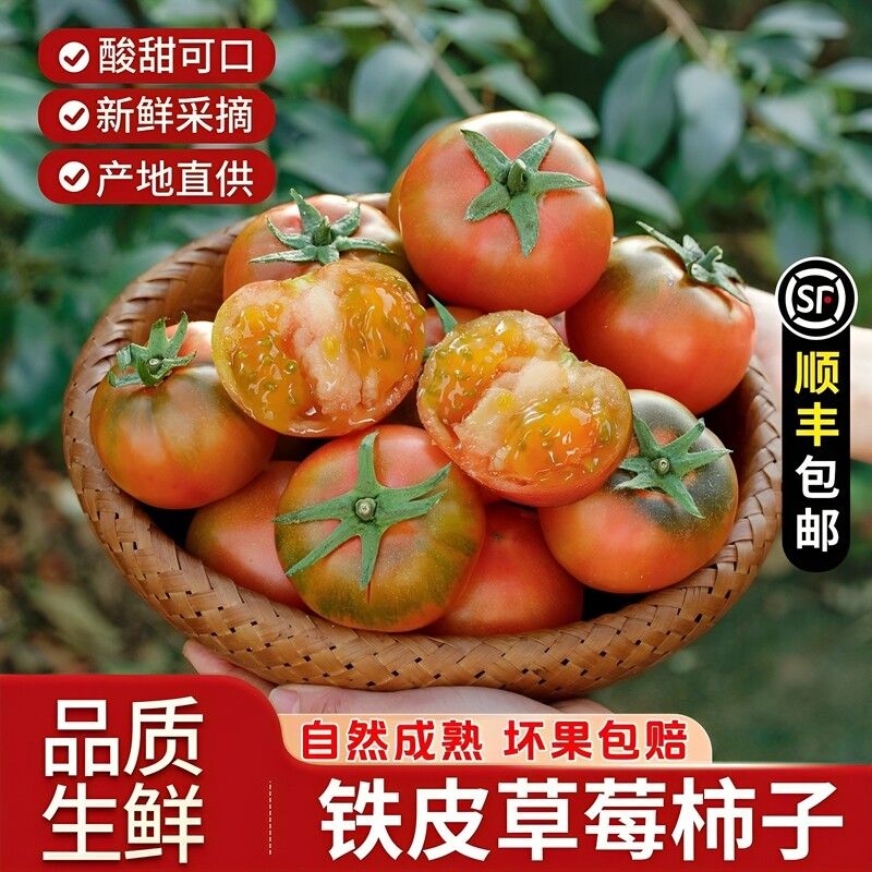 丹东草莓柿子番茄铁皮柿子新鲜生吃西红柿自然熟正宗东北顺丰生鲜