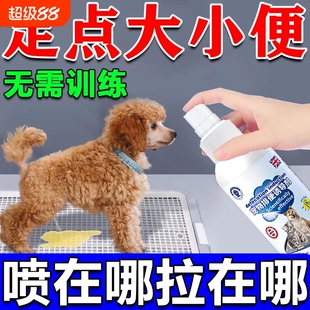 狗狗定点上厕所神器狗定点排便诱导剂防乱尿乱拉屎大小便训练尿垫
