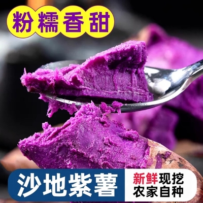 正宗新鲜紫薯现挖红紫皮番薯地瓜红薯烤红薯批发沙地自种紫心香甜
