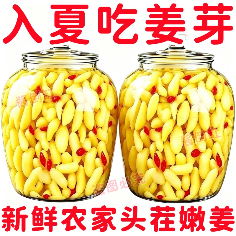 【精品】枸杞泡姜芽新鲜嫩姜芽爽口酸甜醋泡生姜片泡嫩姜腌制泡菜图片