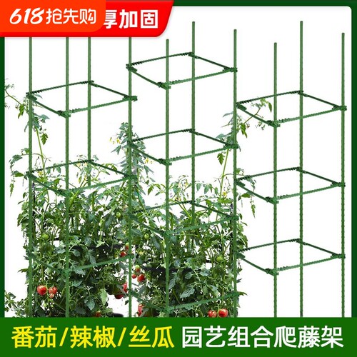 番茄架子爬藤架蔬菜架杆种菜支撑盆栽庭院固定西红柿黄瓜种菜支架