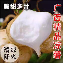 凉薯地瓜新鲜广西白心萝卜水果沙葛土番薯农家特产9斤自提自种