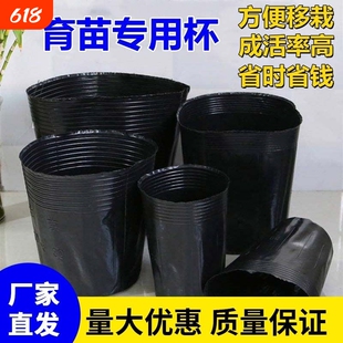 营养钵育苗袋一次性育苗杯花盆种植盆塑料园艺花卉种子苗木杯扦插