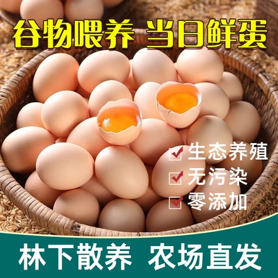 农家散养土鸡蛋品质甄选谷物鲜蛋