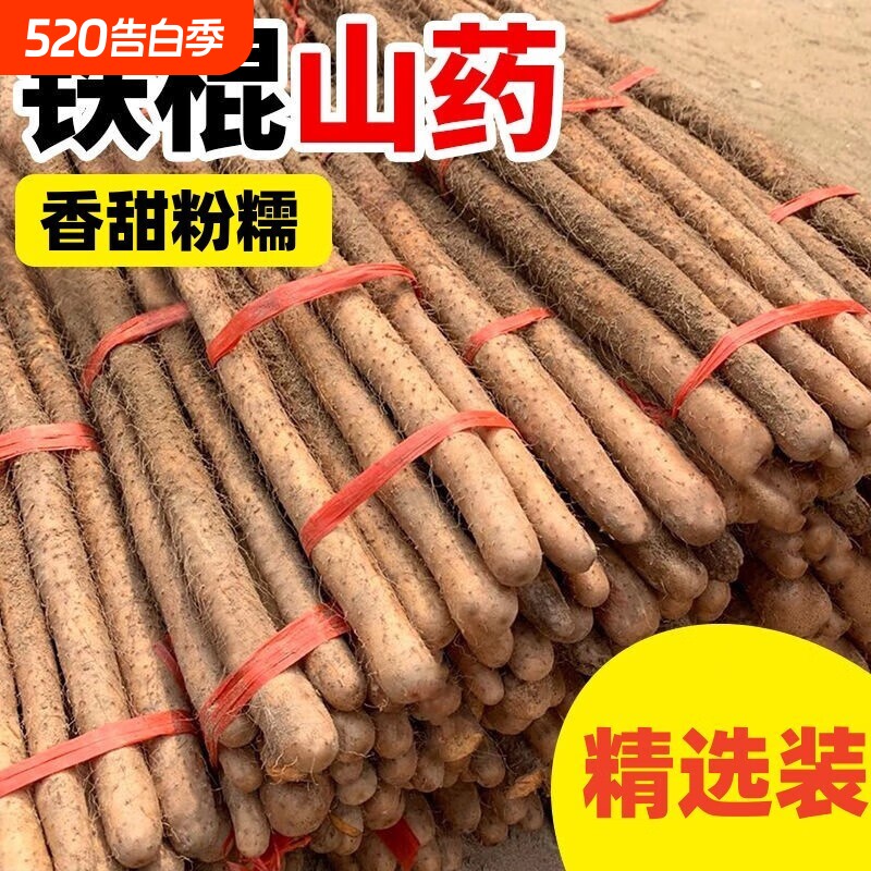 正宗垆土铁棍山药正宗河北新鲜生铁杆怀山淮山药特产淮山药