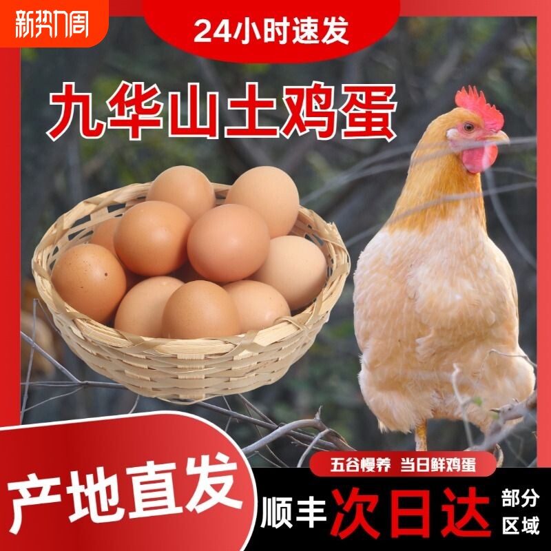 皖南土鸡蛋九华山高山散养土鸡蛋竹林蛋50枚产地直发顺丰包邮