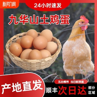 皖南土鸡蛋九华山高山散养土鸡蛋竹林蛋50枚产地直发顺丰 包邮