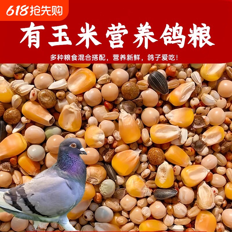 鸽子饲料粮食无玉米幼鸽粮信鸽元宝鸽鸟食赛鸽营养10斤包邮混合