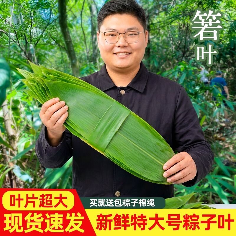 粽叶新鲜粽子叶特大号真空包粽子专用现摘箬竹叶非芦苇送棕绳箬叶