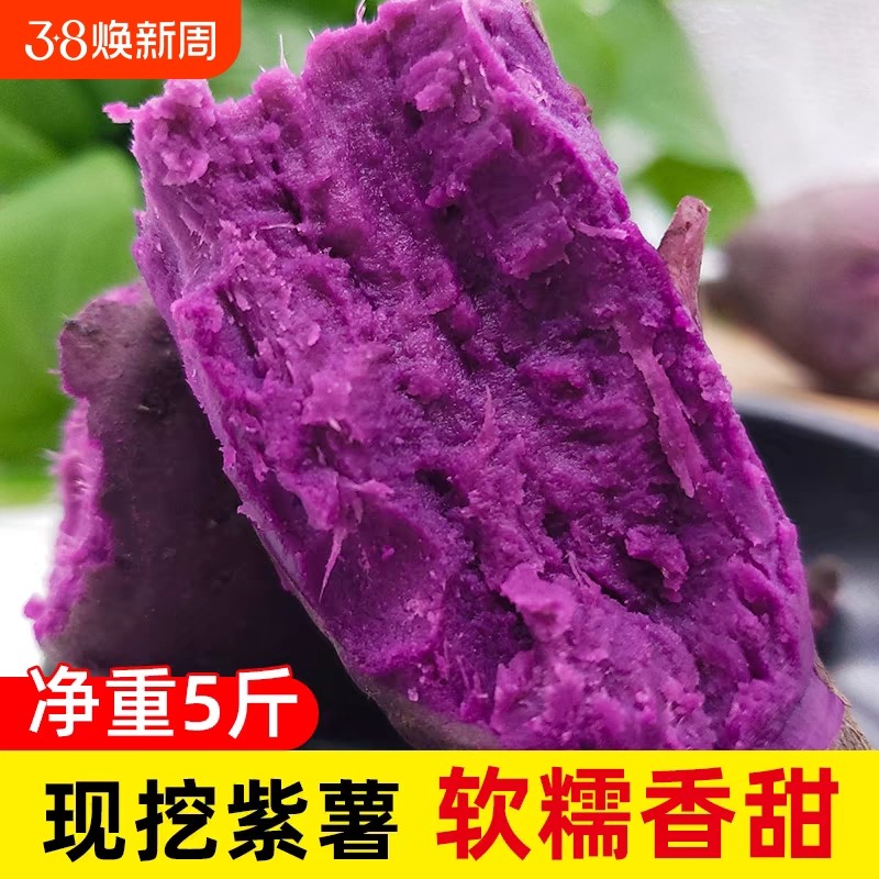 现挖新鲜沙地紫薯农家自种地瓜香薯紫心蜜板栗红薯山芋软糯香甜