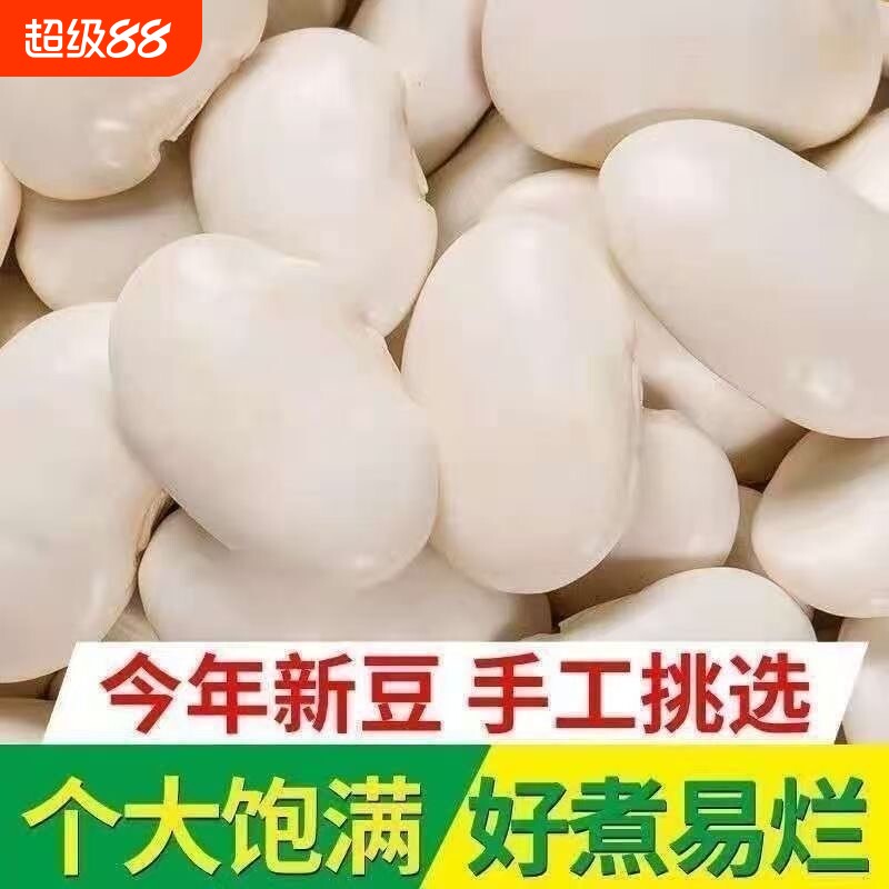 5斤白芸豆新货云南农家自产白豆雪豆炖汤大白云豆干货新鲜大粒图片