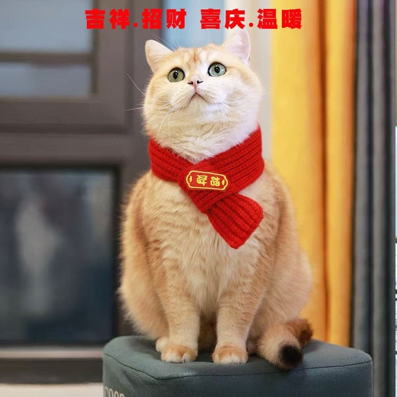 狗狗围巾喜庆招财猫咪围脖新年衣服毛线针织拜年宠物项圈领结冬季,宠物/宠物食品及用品,围巾/口水巾,淘宝优惠券,粉丝福利购,淘宝优惠卷