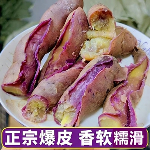 广州南沙一点红番薯 正宗农家沙地红薯新鲜现挖紫心蜜薯地瓜甘薯