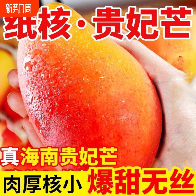 海南三亚树上自然熟贵妃芒果3/5/8/9斤现摘新鲜芒果热带水果应
