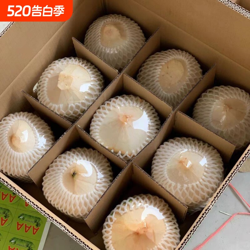 正宗海南椰青新鲜椰子2/4/6/9个装当季水果去皮一整箱特产包邮