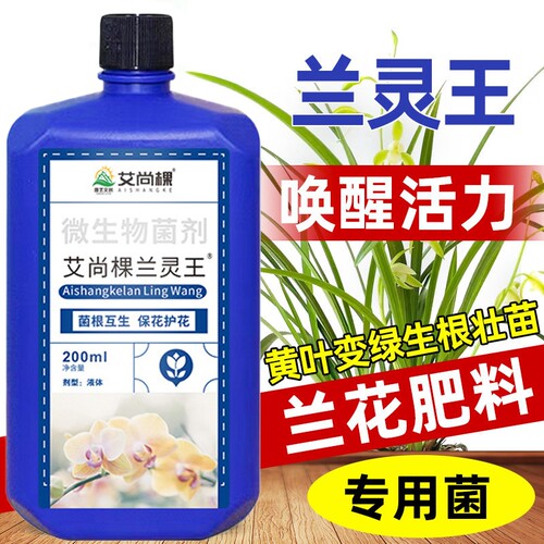 兰花专用营养液兰灵王肥料杀菌君子兰兰陵王多箭素微生物菌剂开花