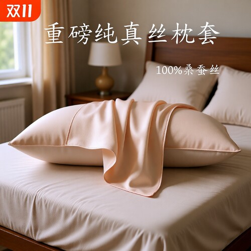 真丝枕套100%桑蚕丝夏季
