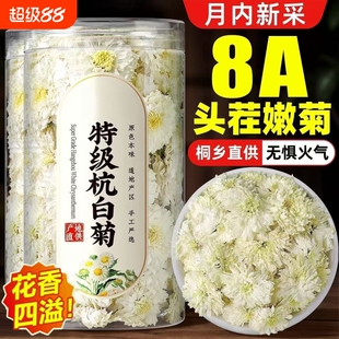 桐乡杭白菊特级正品黄山正宗白菊花去火养生茶泡水菊花茶大朵袋装