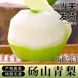 梨子正宗砀山梨青梨酥梨当季水果新鲜现摘安徽皇翠冠整箱香梨雪梨