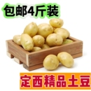 正宗定西精品黄心土豆4斤薄皮粉糯洋芋马铃薯黄肉新鲜食材农场