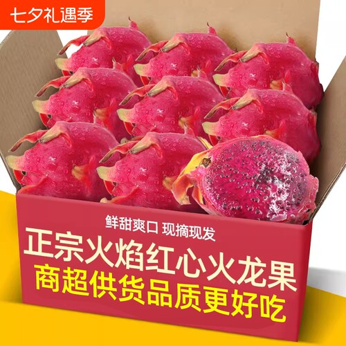 云南高山焰火品种红心火龙果