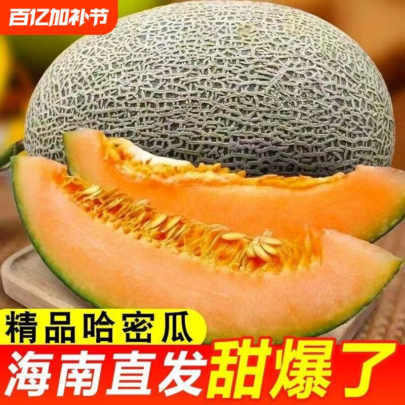 海南哈密瓜玲珑网纹蜜瓜当季现摘脆甜多汁皮薄新鲜香甜整箱装甜脆