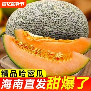海南脆甜多汁哈密瓜4.5斤