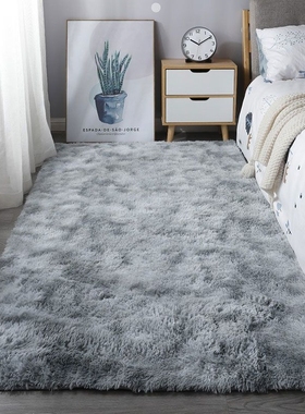 卧室地毯床边长毛绒少女ins客厅房间沙发茶几毯地垫子白色红色