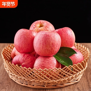 正宗山东烟台栖霞红富士苹果2025脆甜多汁应季新鲜大果产地直发