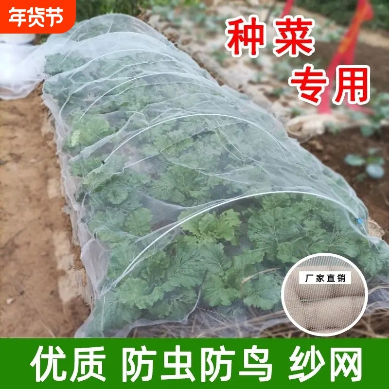100目防虫网纱网大棚专用防虫网种菜专用果树防蚊网罩防蚊虫网